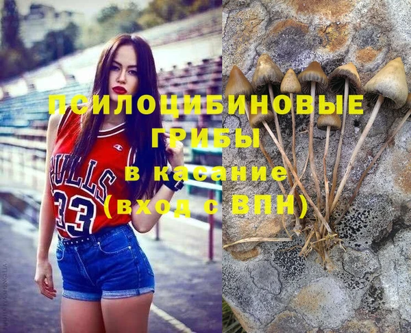 spice Богородицк