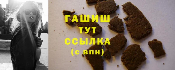 spice Богородицк