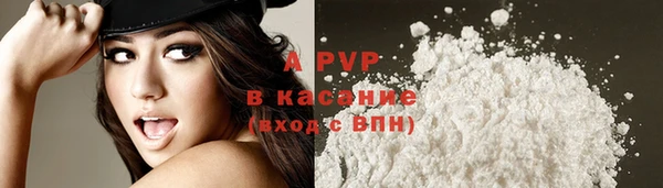 spice Богородицк