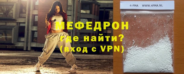 spice Богородицк