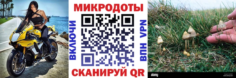 Галлюциногенные грибы MAGIC MUSHROOMS  даркнет наркотические препараты  Великий Устюг 